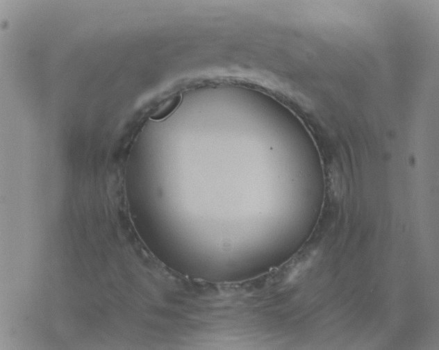 X0000074331494200609082019