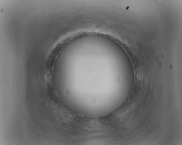 X0000074331495200609082019