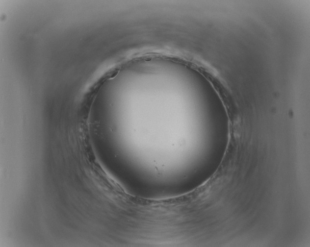 X0000074331496200609082019