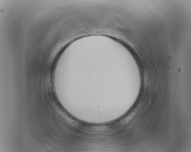 X0000074331498200609082019