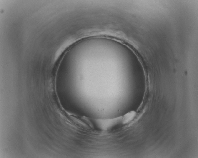 X0000074331501200609082019