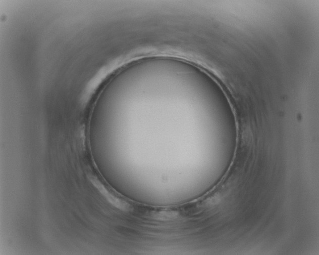 X0000074331503200609082019