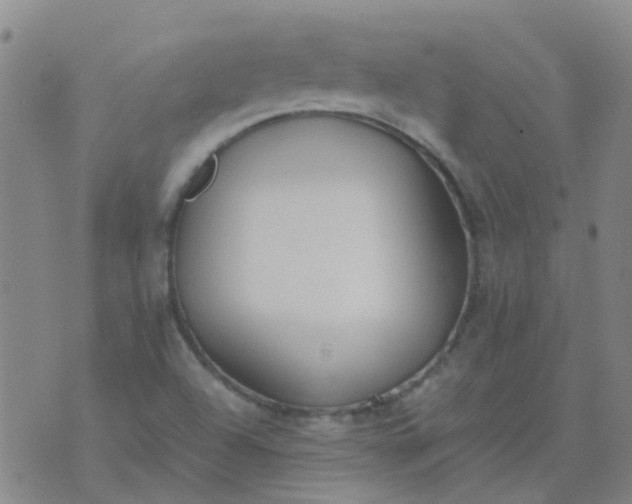 X0000074331504200609082019