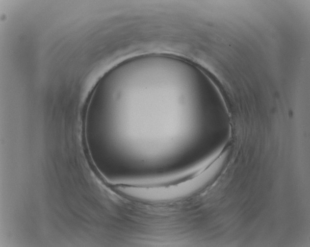 X0000074331508200609082019