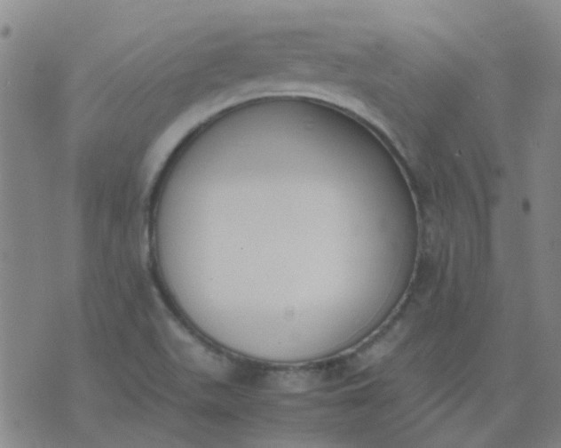 X0000074331511200609082019