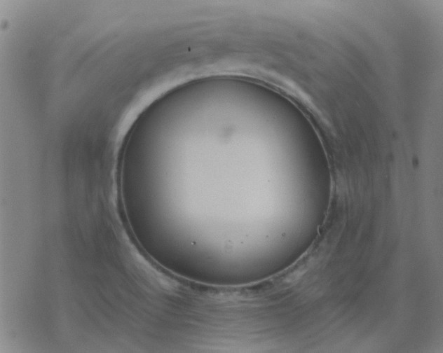 X0000074331512200609082019