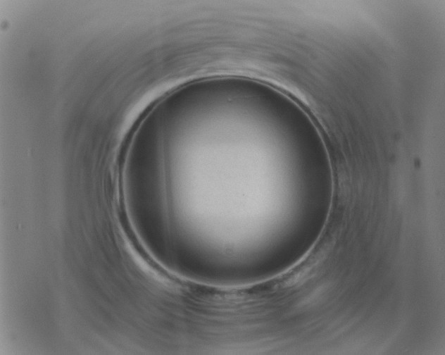 X0000074331515200609082019