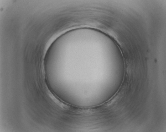 X0000074331516200609082019