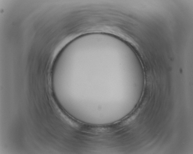 X0000074331517200609082019