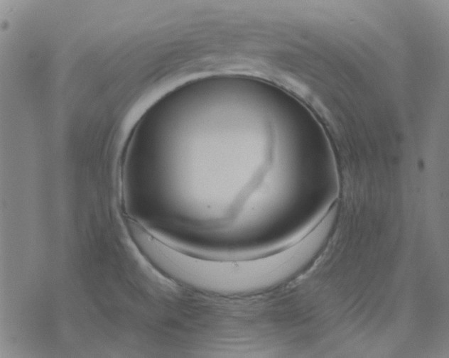 X0000074331520200609082019