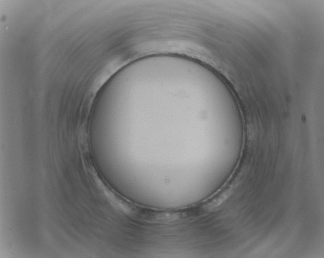 X0000074331521200609082019