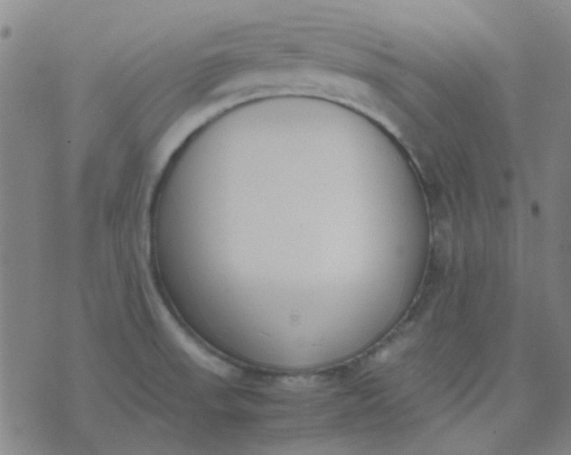 X0000074331523200609082019