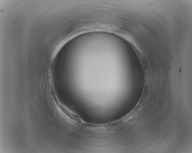 X0000074331524200609082019