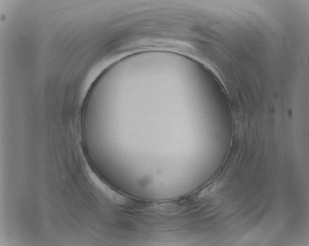 X0000074331531200609082019