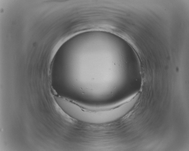 X0000074331532200609082019