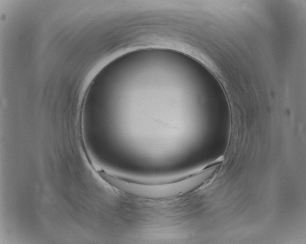 X0000074331536200609082019