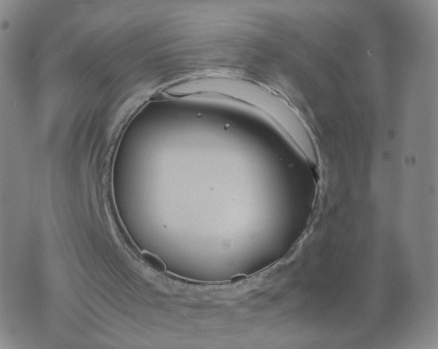 X0000074330001200609152108