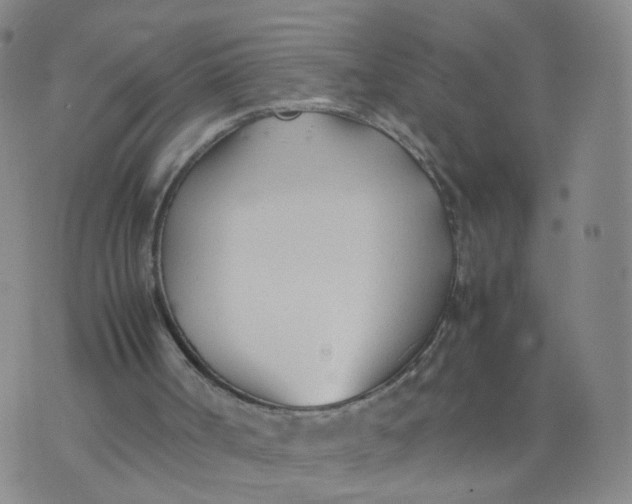 X0000074330002200609152108