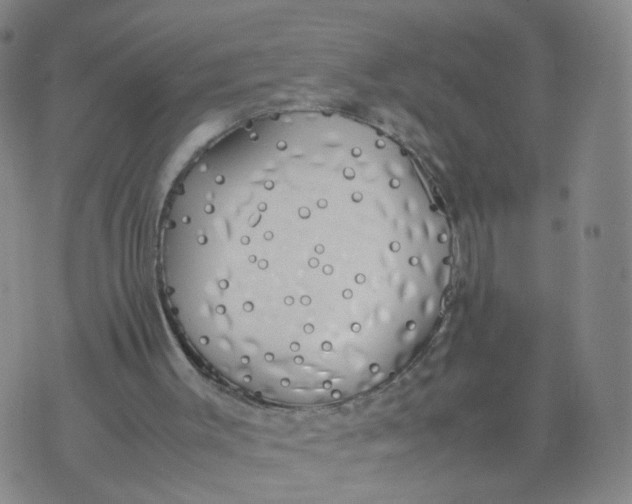 X0000074330003200609152108