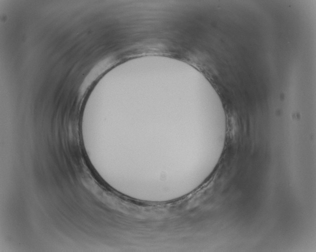 X0000074330004200609152108