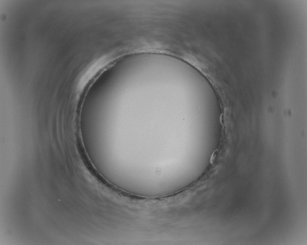 X0000074330007200609152108