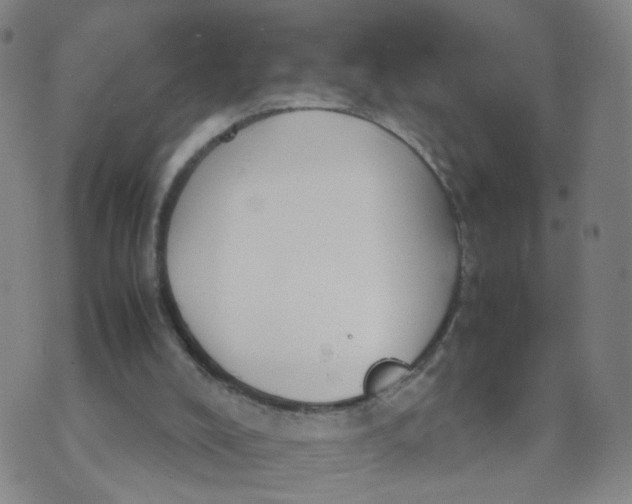 X0000074330008200609152108