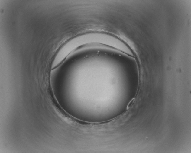 X0000074330009200609152108