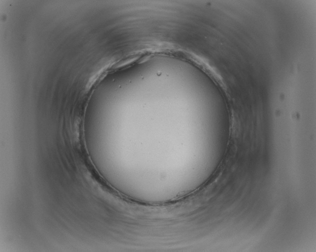 X0000074330010200609152108