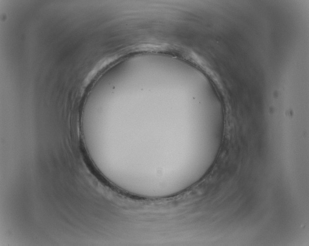 X0000074330011200609152108