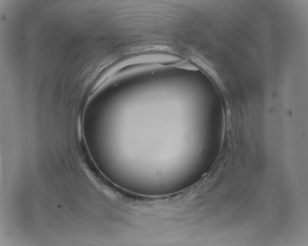 X0000074330013200609152108