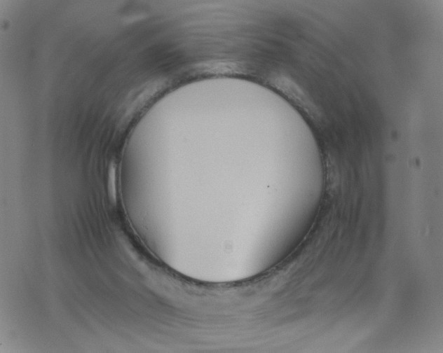 X0000074330014200609152108