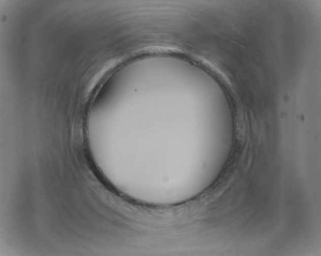 X0000074330015200609152108