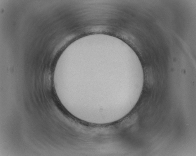 X0000074330016200609152108