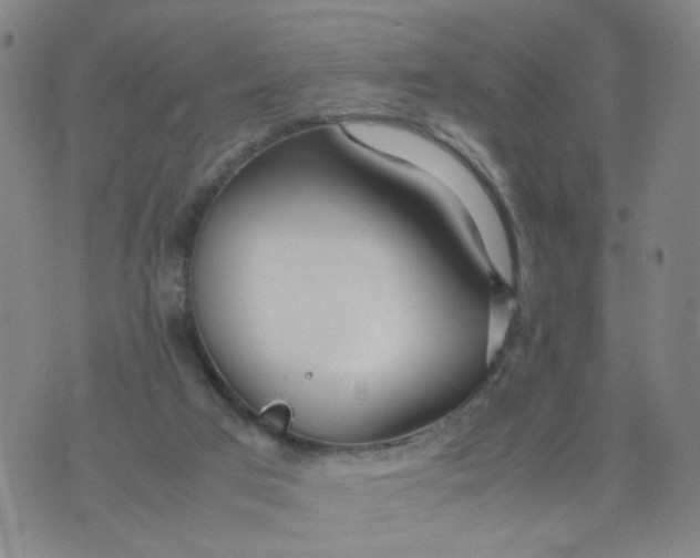 X0000074330017200609152108