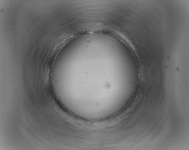 X0000074330018200609152108