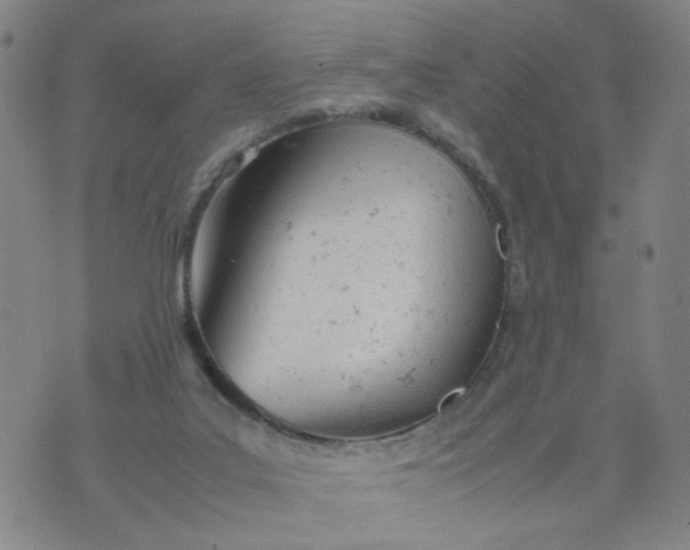 X0000074330019200609152108