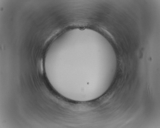 X0000074330020200609152108