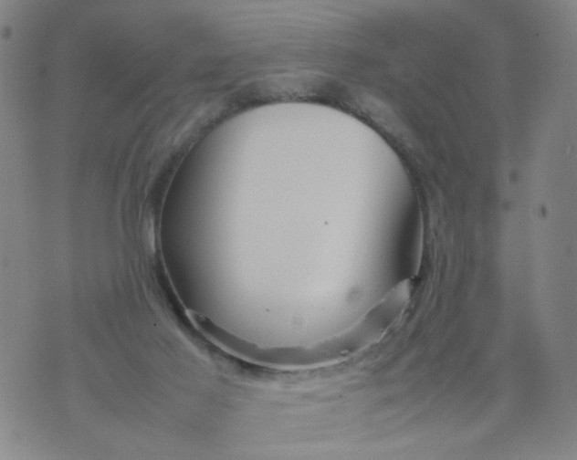 X0000074330021200609152108