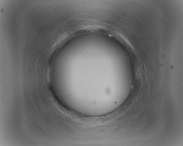 X0000074330023200609152108