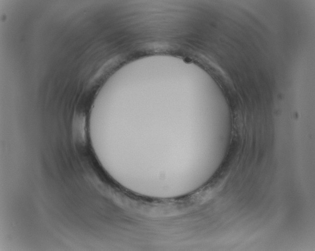 X0000074330024200609152108