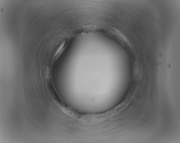 X0000074330025200609152108