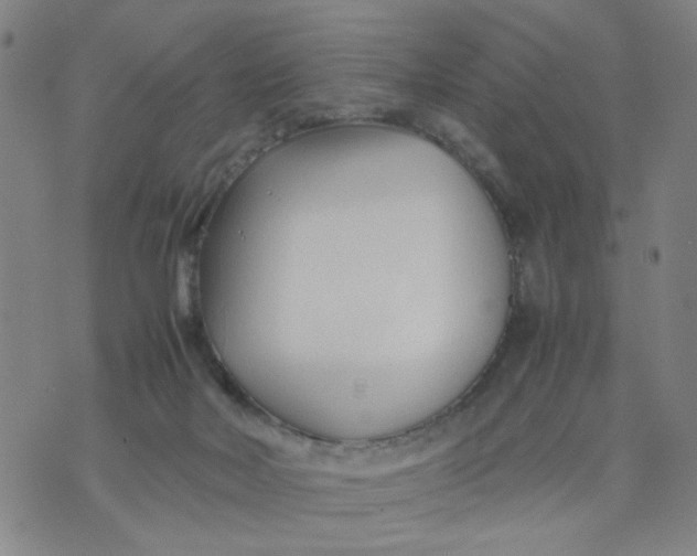 X0000074330026200609152108