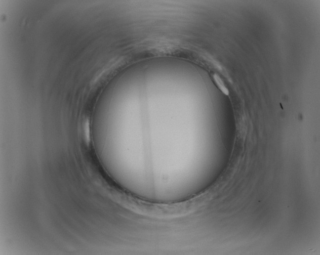 X0000074330027200609152108