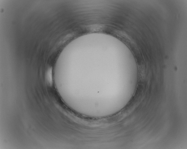 X0000074330028200609152108