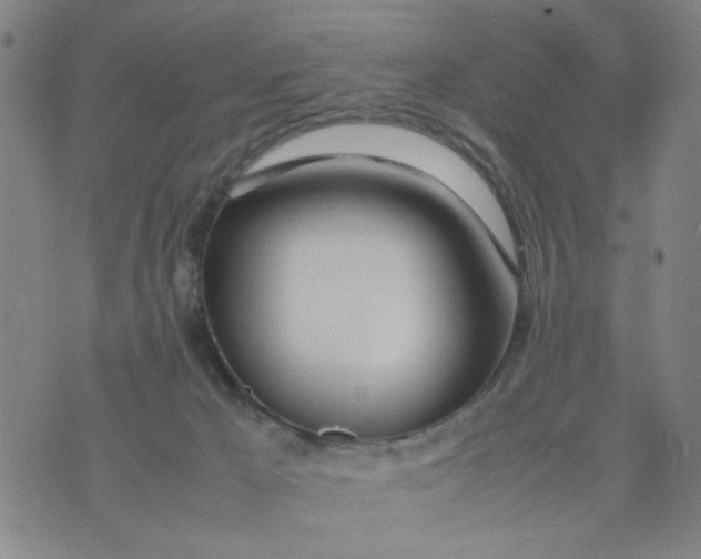 X0000074330029200609152108