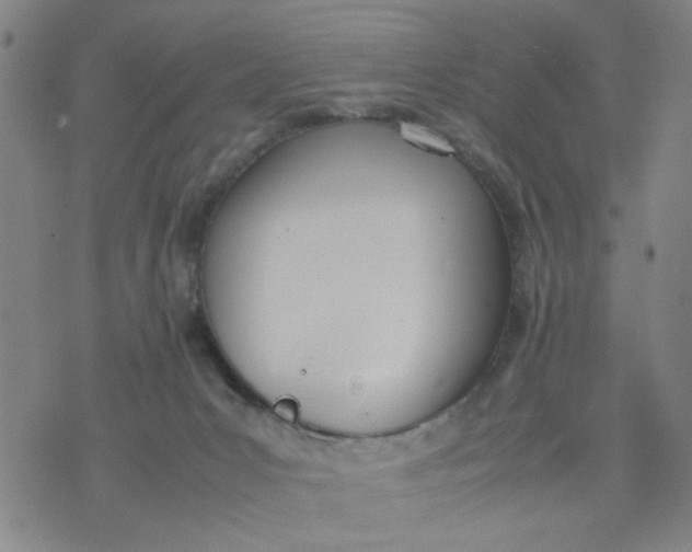 X0000074330031200609152108