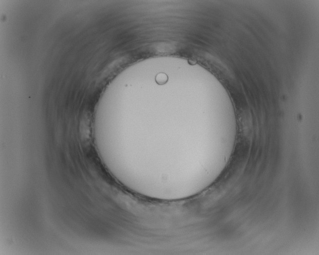 X0000074330032200609152108