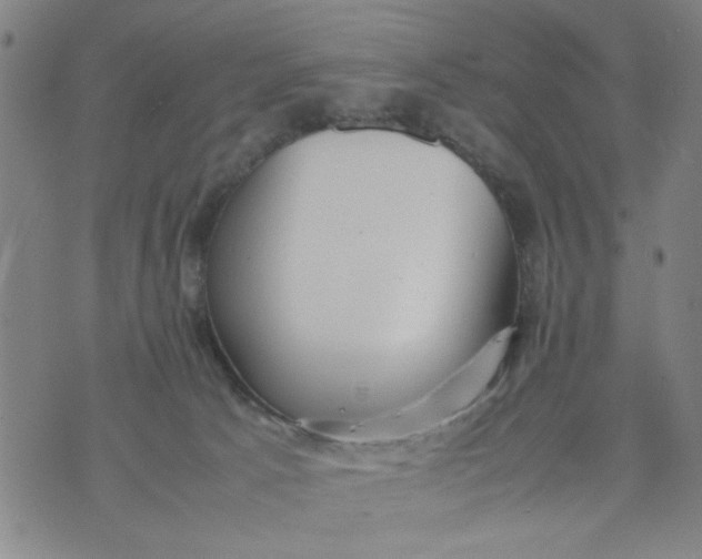 X0000074330033200609152108