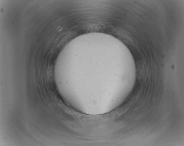 X0000074330034200609152108