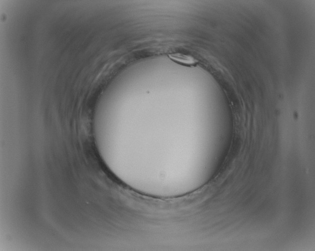 X0000074330035200609152108